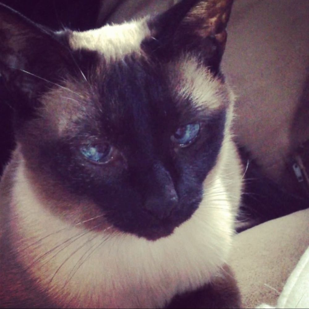 Meet your Posher, Sky